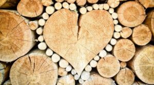 fenyőker fatelep fenyő fűrészáru fakereskedés tüzép termékek kalodás tűzifa minőség keményfa bükk tölgy kaloda 18. kerület budapest